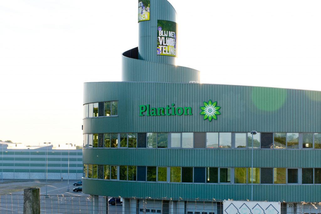 Plantion - Gevelreclame
